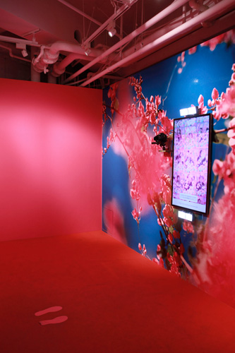 シブパル展 : 蜷川実花 × チームラボ