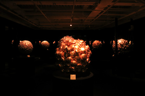 What's Gold!? 展示会場