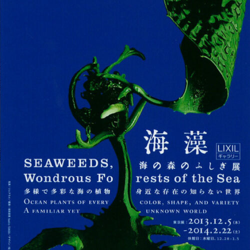 海藻 – 海の森のふしぎ 展